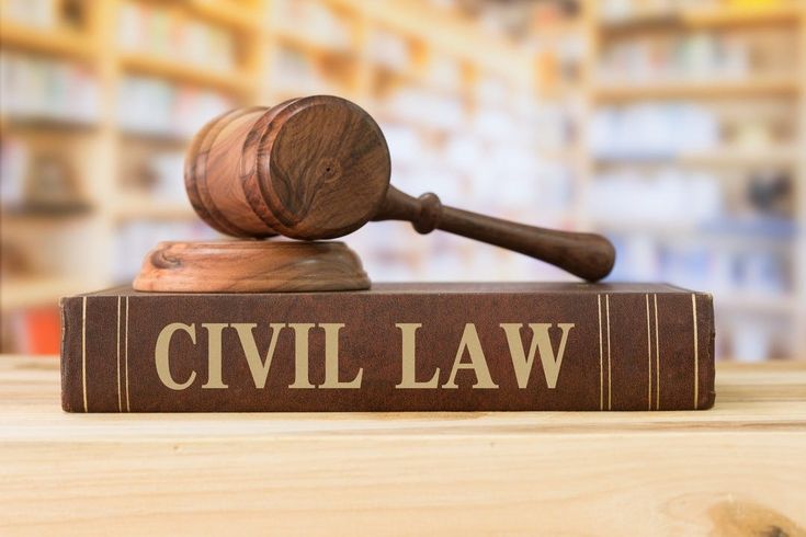 Gavel representing criminal law