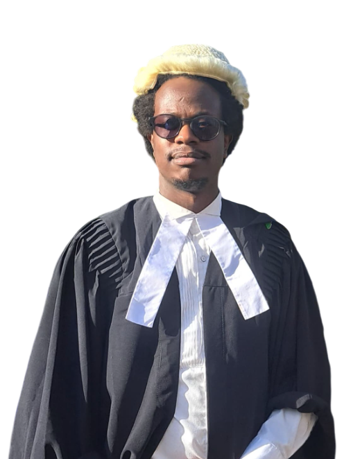 Kioi Ndung'u, Senior Partner, Litigation